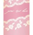 French lace background vector image
