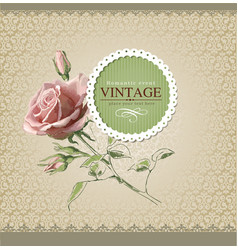 Vintage border rose vector image