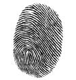Fingerprint vector image