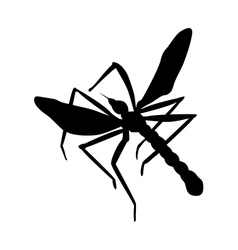 Mosquito vector image