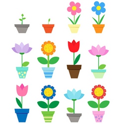 Pot flowers vector image