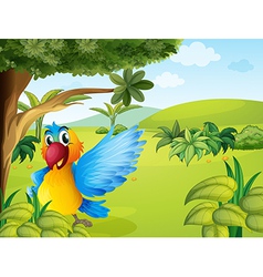 A colorful parrot in the forest vector image