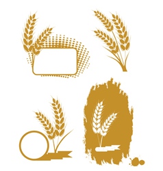 Set with ears of wheat vector image