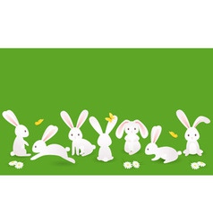 Bunnies vector image