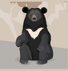 Formosan or american black bear with white collar vector image
