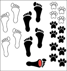 Footprints Footprints vector image