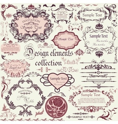 Set of calligraphic design elements and floral vector image