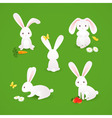 Cute bunnies vector image