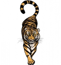 Crouching tiger vector image