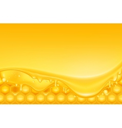 Honey background vector image