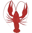 One boiled red crayfish crawfish vector image