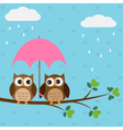 Owls couple under umbrella vector image