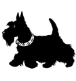 Scottish terrier black and white vector image