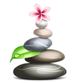 Colored pebbles vector image