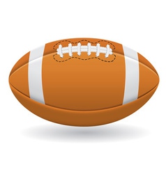 American Football Ball Isolated on Withe Vector Image