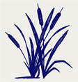 Swamp sketch vector image