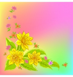 Narcissus vector image