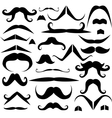 Set of mustaches for fun vector image