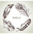 Feather set hand drawn vector image