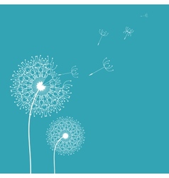 Dandelion in the wind background vector image