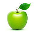 Green apple vector image