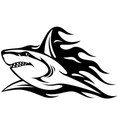 Danger shark with flames vector image