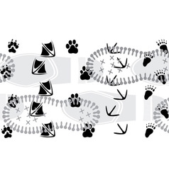 Traces vector image