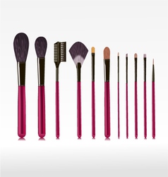 Makeup bushes set vector image