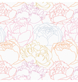 Peonies pattern vector image