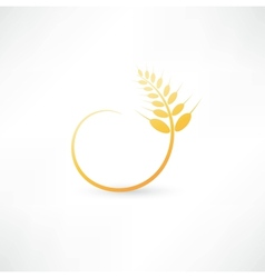 Wheat ears icon vector image