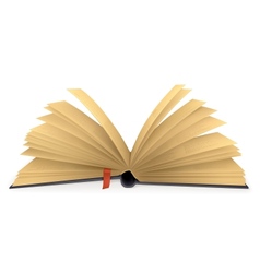 Open book vector image