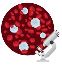 Blood cells vector image