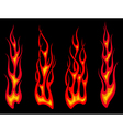Set of long tribal fire flames vector image