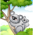Bears in nature vector image