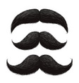 Funny retro hair mustaches set Funny retro hair mustaches set vector image