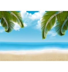 Palm leaves on beach vector image