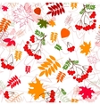 A seamless leaf and rowanberrys pattern background vector image