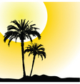 Palm trees design vector image