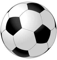 Soccer ball vector image