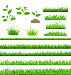 Grass vector image