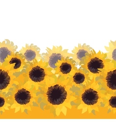 Sunflower flower seamless background Sunflower flower seamless background vector image