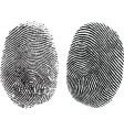 Finger prints vector image