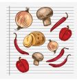 Ingredients illustration vector image