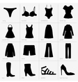 Women clothes vector image