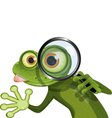 Frog and magnifying glass vector image