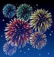 Fireworks vector image
