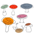 Mushrooms vector image