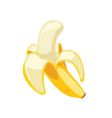 Banana vector image