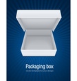 Empty open packaging box vector image