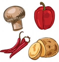 Set of ingredients vector image